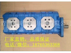 【吊車(chē)泵@昭德】供應(yīng)優(yōu)質(zhì)中聯(lián)浦沅吊