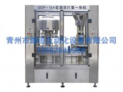 高品質(zhì)玻璃水生產(chǎn)設(shè)備推薦-玻璃水生