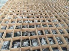 遼寧灌縫膠|批發供應廠商熠道科技值