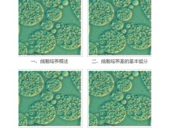宜興賽爾生物提供宜興細(xì)胞培養(yǎng)基，