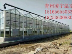 智能溫室怎么建設合理？智能溫室比