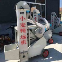 小型糧食自動精選機(jī) 大豆震動精選機(jī) 電動小麥精選機(jī)