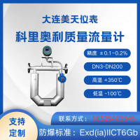 低壓損高粘度燃油質量流量計 美天METERN